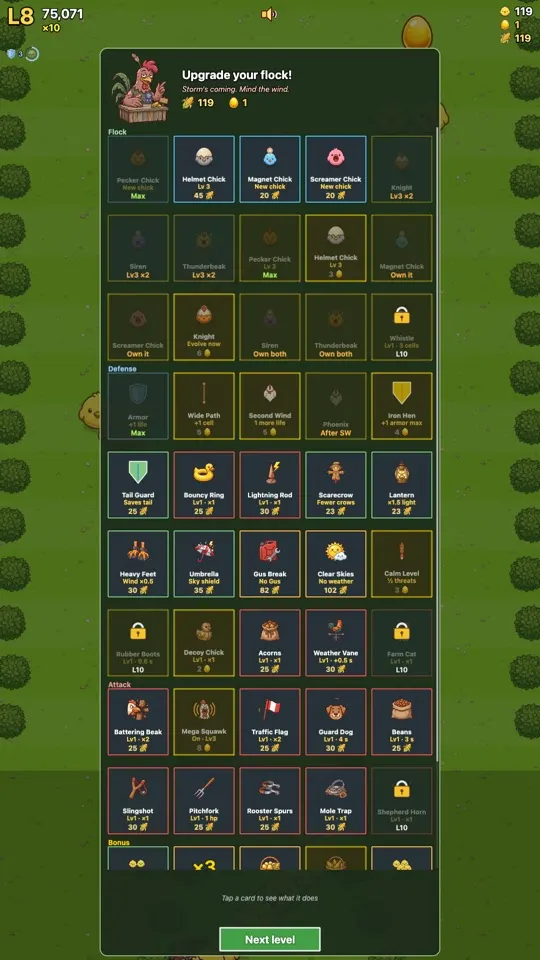 Rex's shop with helmets, chick breeds and gear